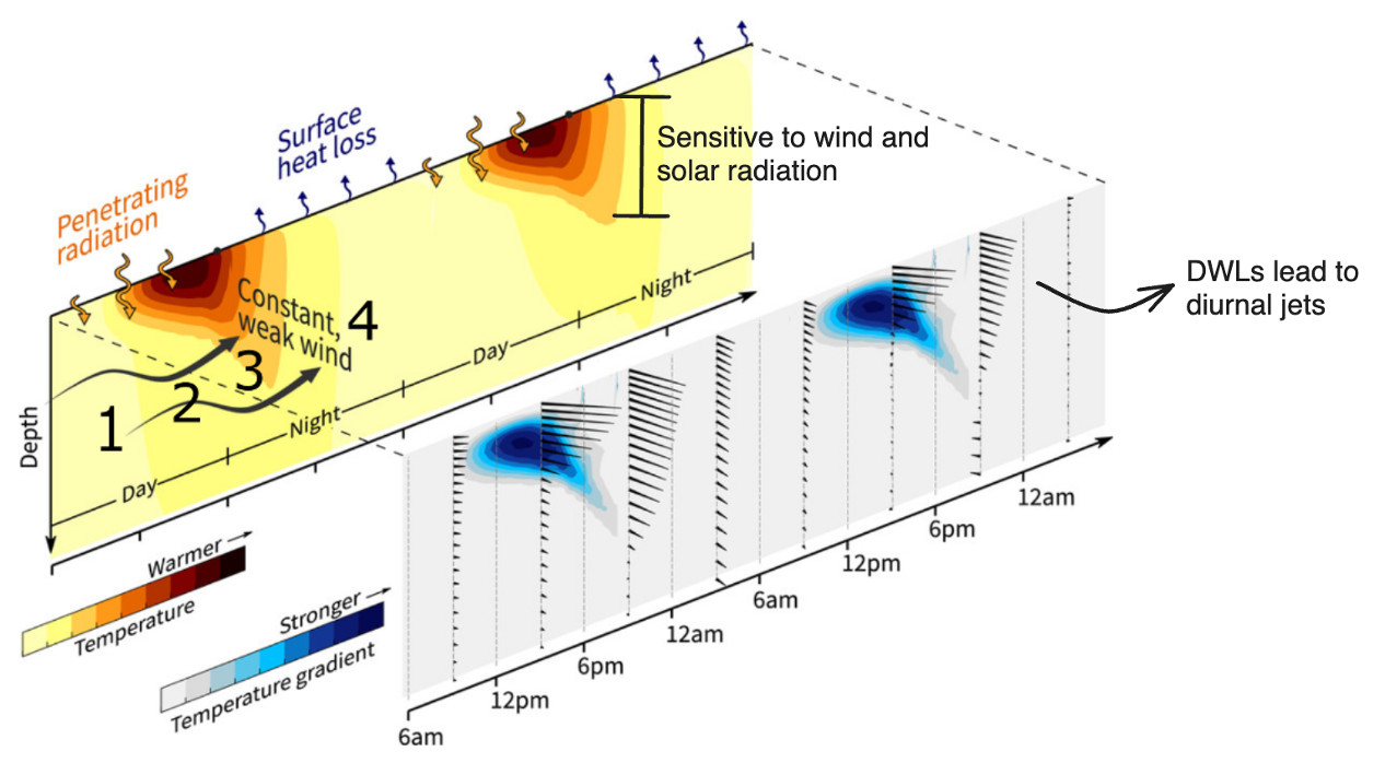 DWL schematic