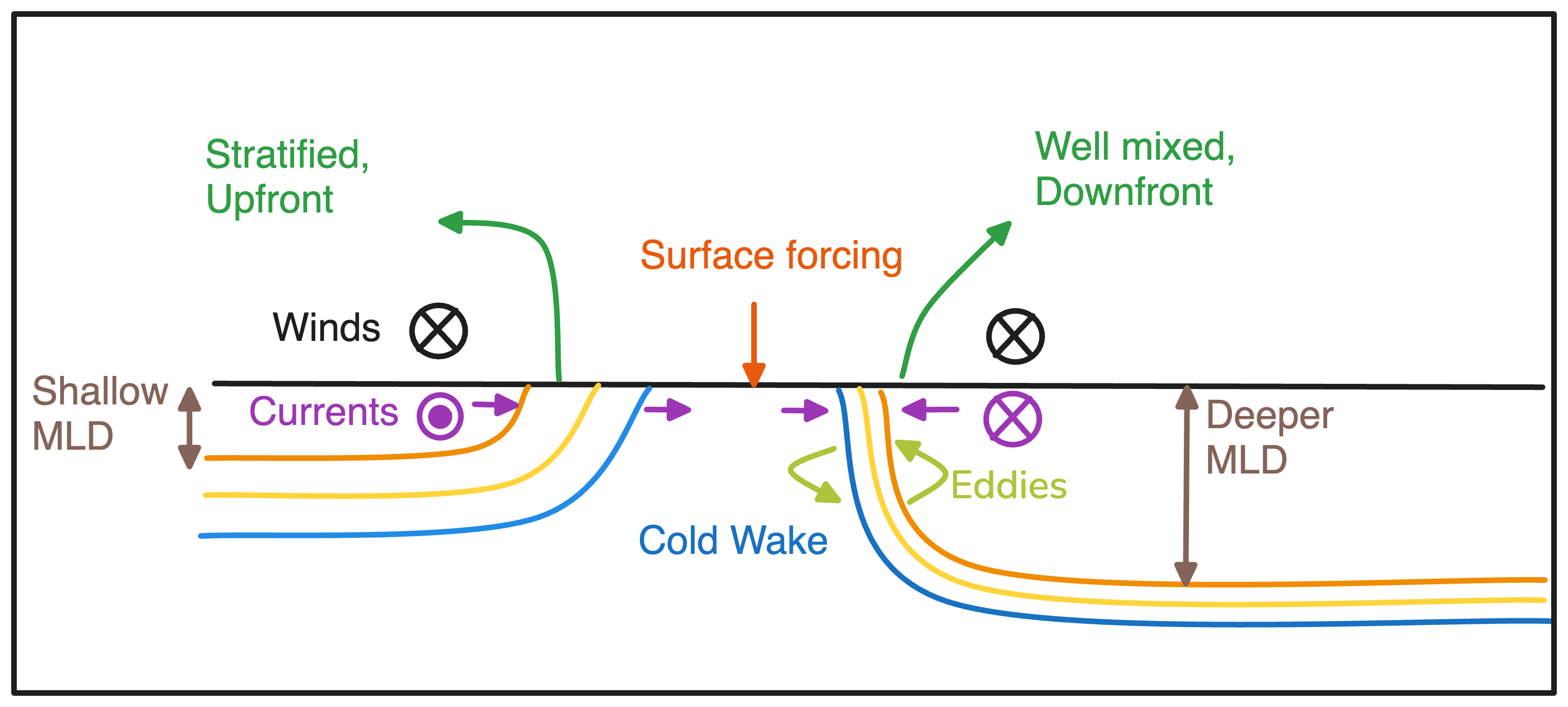 DWL schematic